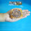 BeyBlade BEYBLADE Burst Evolution Startpaket Horusood H2 4