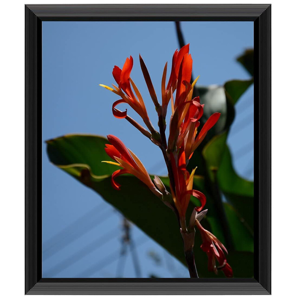 Uzifa 10X12 Bilderrahmen Foto-/Posterrahmen Sicherheits-Pc-Platte Mit Hoher Transparenz, Kein Glas, Ohne Passepartout, F R Display-Zertifikat V-image