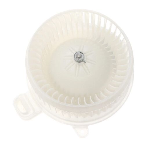 TYC Blower Motor Assembly - 700298