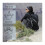 geckobrands                                                             30L           /       - 6