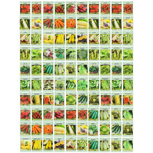 100 Assorted Heirloom Vegetable Seeds 100 Non-gMO 100  Deluxe Assorted Vegetable Seeds