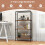 Casart 4-Tier Bookshelf Open-Back Storage Shelf Display Rack Shelving Unit 8