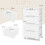 Casart Rolling Storage Cabinet Vertical Storage Unit with 5 Drawers 2