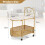Casart Mobile Glass Coffee Table 2-Tier Modern Cocktail Table-Golden 2