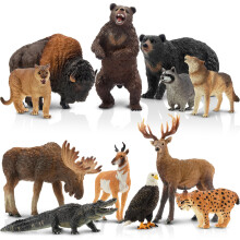 Toymany 12stk nordamerikansk skovdyrfigurer realistisk jungle dyre sæt inkluderer vaskebjørn Lynx Wolf Bear Eagle Educational Toy Cake Toppers Ju