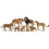 Toymany 8PCS 2-5" Πλαστικά Ζώα της Ζούγκλας με Μωρά 2