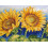 Merejka Counted Cross Stitch Kit Bright Sunflowers 2