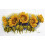 Merejka Counted Cross Stitch Kit Bright Sunflowers 1