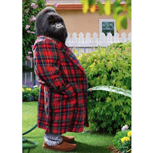 Gorilla Trädgårdsslang - Avanti Rolig/Funny Fars Dag Kort