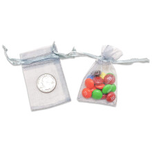 TheDisplayGuys 48-Pack 2 x 2-3/4 Silver Sheer Organza Gift Bags with Drawstring Jewelry Candy Treat Wedding Party Favors Mesh Pouch