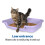 KittyGoHer 3