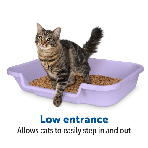 KittyGoHer 2