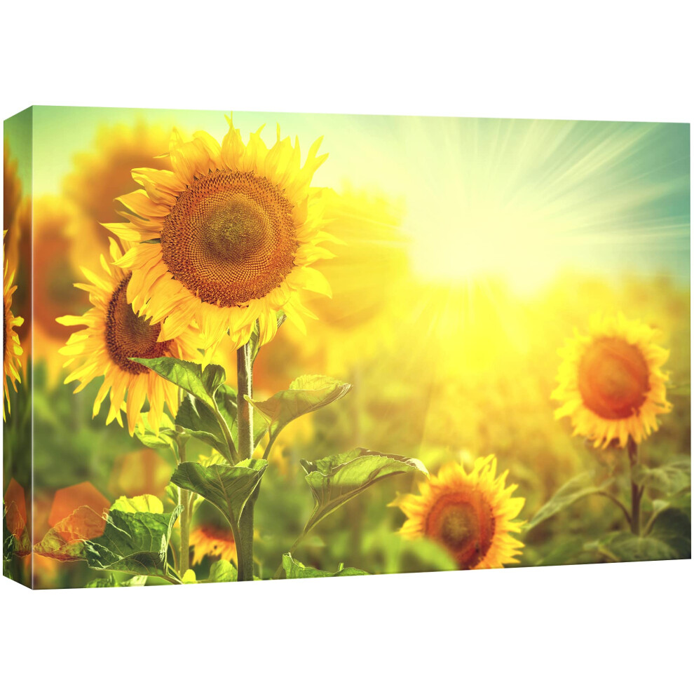 Impression sur toile SIGNFORD - Tournesols avec rayons de lumi   re - Photographie florale - R   alisme - Paysage contemporain - Multicolore - Pour s