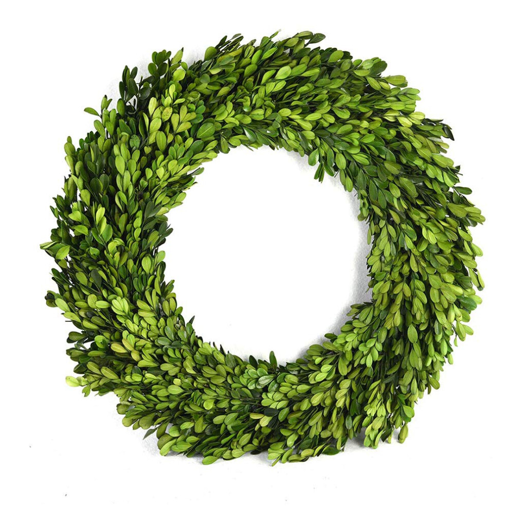 BOXWOOD VALLEY 16 inches Preserved Boxwood Wreath  Wedding Home Decoration Full Green Real Boxwood Wreath  Indoor D?cor for Halloween  Christmas Wreat