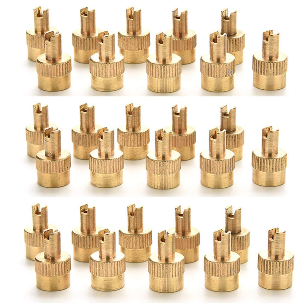CosCosX 100 Pcs Metal Slotted Slot Valve Caps with Valve Core Remover Tire Valve Air Dust Cover Stem Cap Tyre Valve Caps Universal Tire Stem Cove-image-OPC-PFSTBXK-NEW