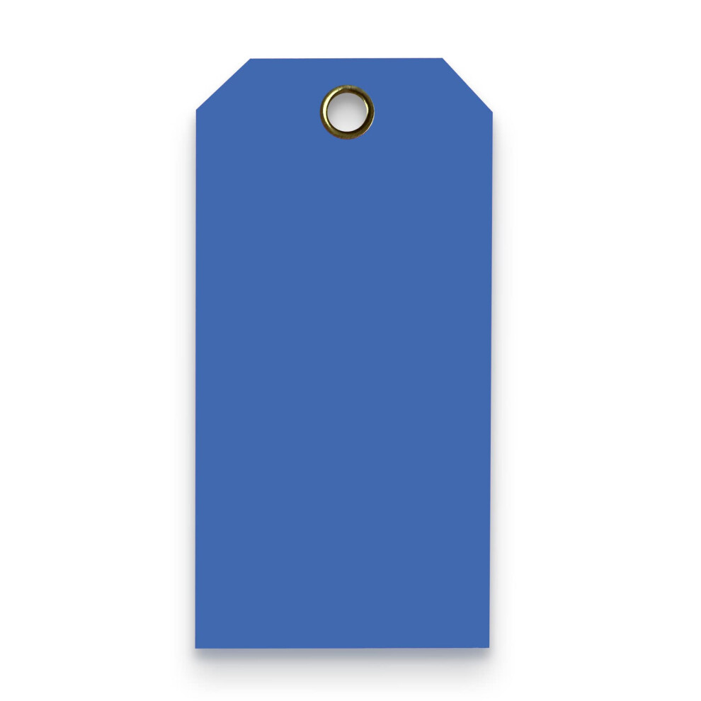Blank Heavy Duty 15 Mil Waterproof Plastic Tags - Equipment - Valve - Backpack - Pack of 100 4 x 8  Dark Blue