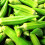 100 σπόροι Clemson Spineless Okra Non-GMO Φρέσκοι σπόροι κήπου 1