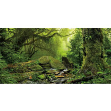 AWERT trooppisen mets n terraarion tausta puron vihre valtava puu matelijan elinymp rist tausta sumuinen sademets akvaario tausta 72x24 tuumaa