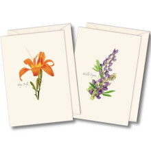 Earth Sky + Water - Conjunto de Tarjetas de Notas de Flores Silvestres - 8 Tarjetas en Blanco con Sobres (4 de cada estilo)