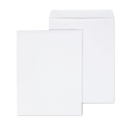 Staples 609123 Αυτοκόλλητοι Φάκελοι Καταλόγου 12 x 15 1/2 100/Κουτί
