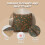 Charlotte Tilbury Charlotte Home Furnishings Inc. 2