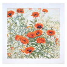 Thea Gouverneur ? Kreuzstich-Set mit Z?hlmuster ? Orange Mohnblumen ? Aida ? 16-f?dig ? Stickset f?r Erwachsene ? DMC-Stickgarne und anderes Kreu