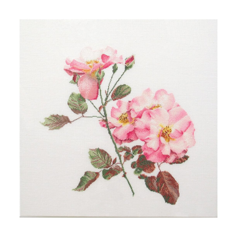 Thea Gouverneur - Counted Cross Stitch Kit - Rosa Leersum - Aida - 18 Count - Embroidery Kit For Adults - Dmc Embroidery Threads And Other Cross
