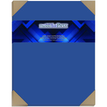 100 Bright Royal Blue Color 65# Cubierta/Hojas de papel de tarjeta 11 x 14 pulgadas lbum de recortes | Tamao de fotograma de imagen - Cardstock liv