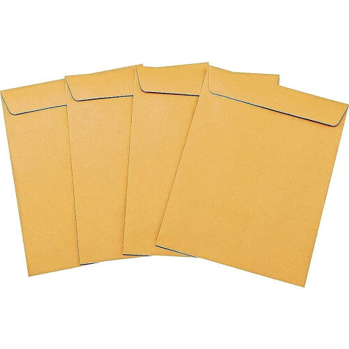 Staples Staples 194969 Φάκελοι Καταλόγου 9 x 12 100/Συσκευασία 2