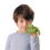 Folkmanis Mini Kikker Vingerpop Pluche Groen 1 EA 3