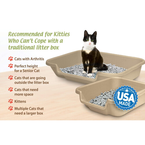 KittyGoHer 2