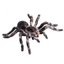 FLORMOON Realistiske dyrefigurer - Spider Action Model Naturlignende insektleget?jsfigurer - P?dagogisk l?ringsleget?j F?dselsdagss?t til drenge,