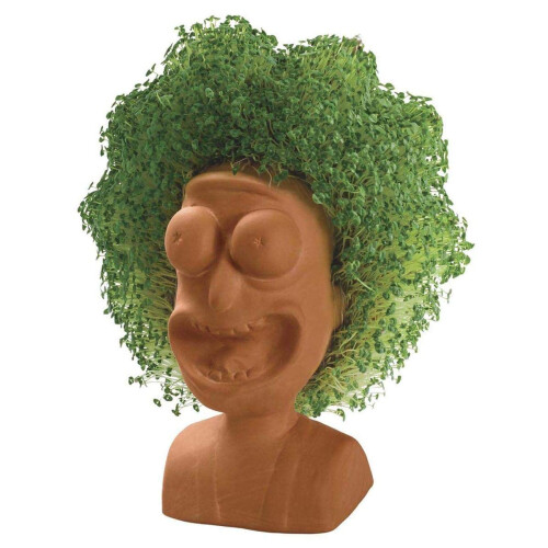 Chia Pet R