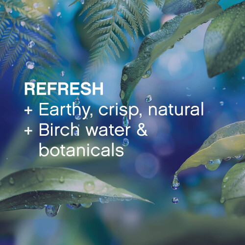 ???? ?a?a?t??? ?????? Downy Infusions Refresh Birch Water & Botonicals 32 fl oz 2