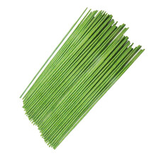 100 szt. 18Ga kwiatowy drut macierzysty zielony Crafting kwiatowy drut macierzysty dla majsterkowiczów i kompozycji kwiatowych 14 cali pokryty papier