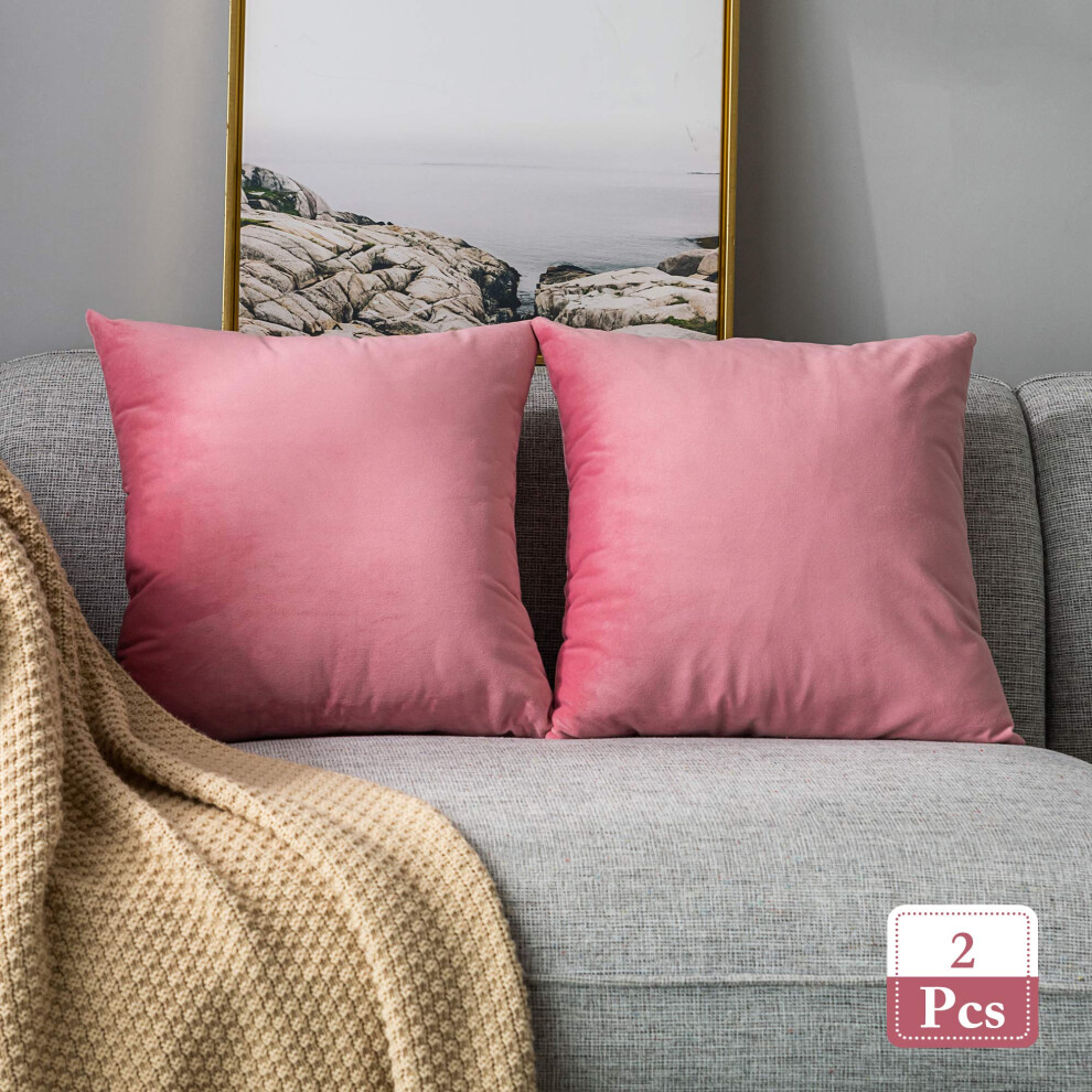 Housses de coussin d   coratives carr   es en velours doux Stellhome pour lit, canap   , banc, 45 x 45 cm, rose vif, lot de 2