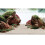 Fluval (Red Stone) Fluval Stone Rock Aquarium Aquascaper Decoration Bundle Kit 16