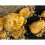 Fluval (Yellow Stone) Fluval Stone Rock Aquarium Aquascaper Decoration Bundle Kit 7