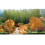 Fluval (Yellow Stone) Fluval Stone Rock Aquarium Aquascaper Decoration Bundle Kit 9