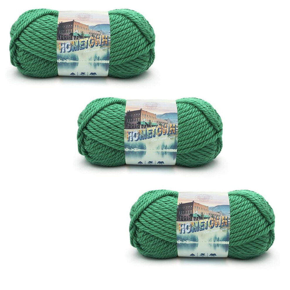 Lion Brand Yarn Hometown Yarn  Bulky Yarn  Yarn for Knitting and Crocheting  3-Pack  Green Bay