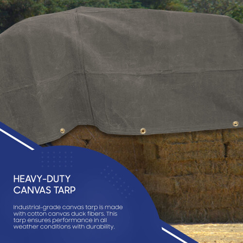 TARPS NAINEMENT CHARBE TOLVAS DURANT 2