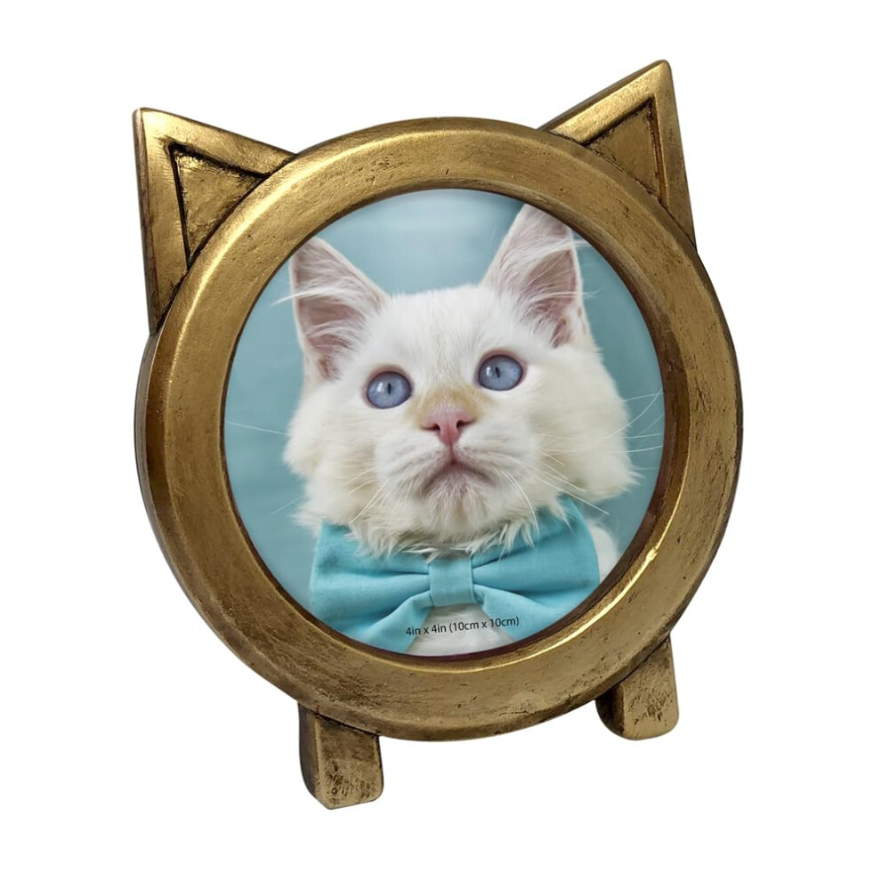 Isaac Jacobs 4x4 Round Resin Sentiment Cat Picture Frame with Ears  Photo Tabletop & Wall Display Hanging Display & Home D?cor (Gold)