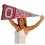 Ohio State Buckeyes Rzutnant Banner 4