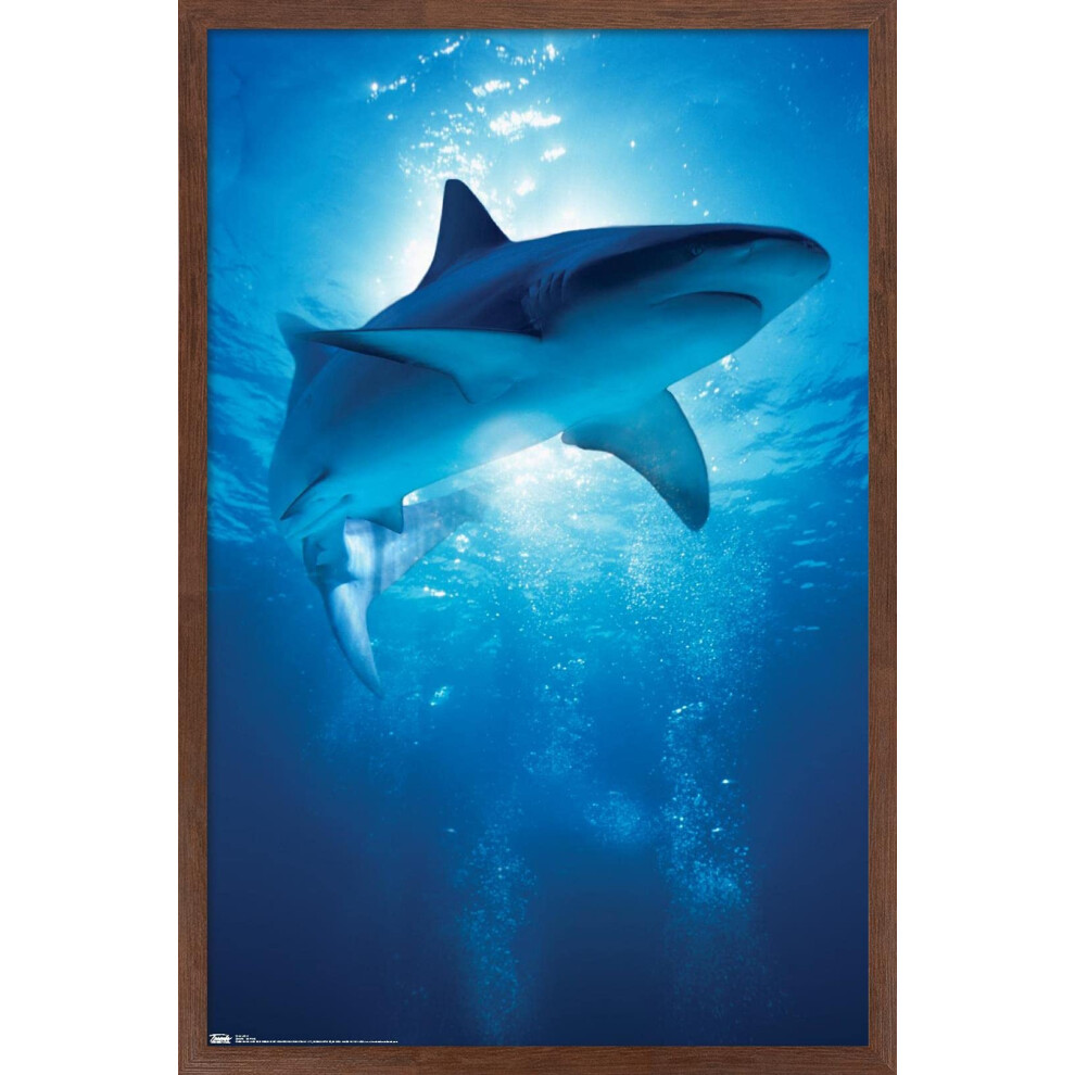 Affiche murale Trends International Shark - Depths 14,725"""" x 22,375"""" en acajou, version encadr   e