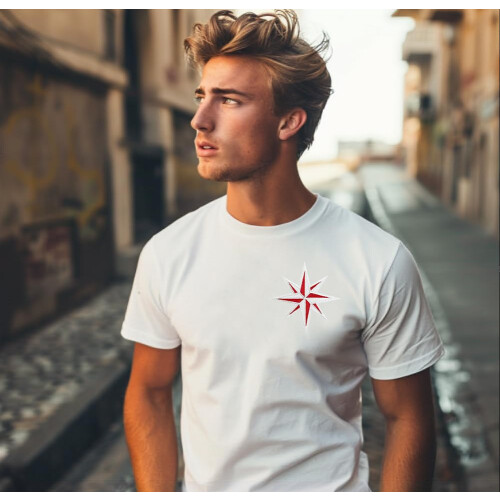Cute-Patch Red and White Eight 8-Points Compass Broderede jern p? patches Rose Nautical Star 2