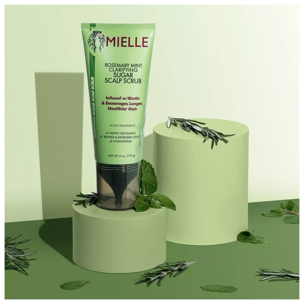 Mielle Rosemary Mint Strengthening Sugar Scalp Scrub Refresh & Nourish