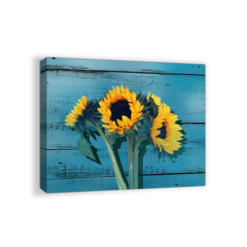 Boland-Scheletro Decorazione, Bianco, L (92 cm), 74368