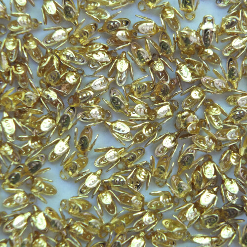 Capacele de clopot cu frunze mici PK/100