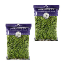 Super Moss 26912 Spanisches Moos, konserviertes Gras, 8 oz (200 Kubikzoll) (2)