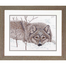 Kit punto croce Dimensioni Lupo nella neve, tela Aida bianca a 14 punti, 14"""" x 14""""